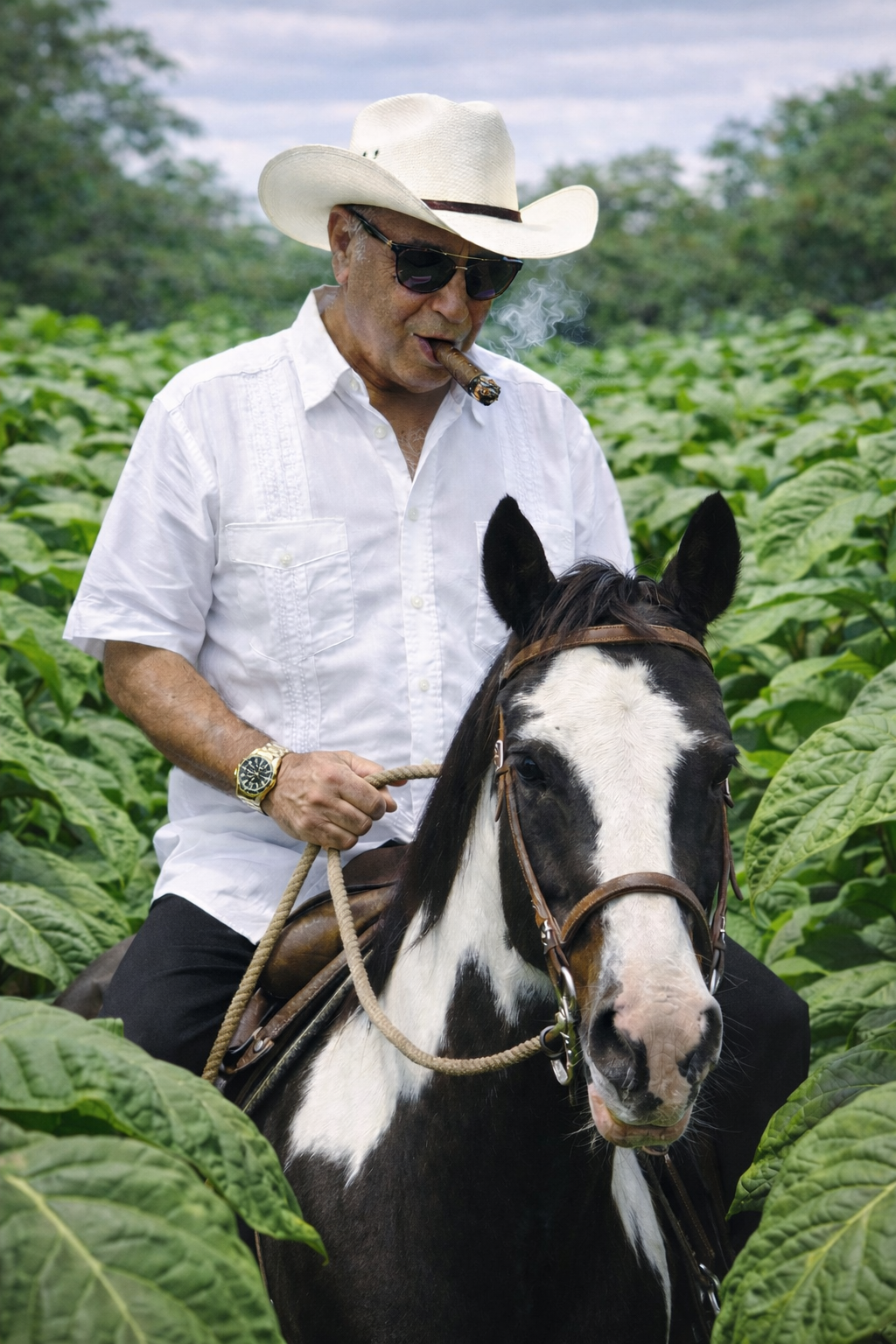 Founder inspecting tobacco leaf
